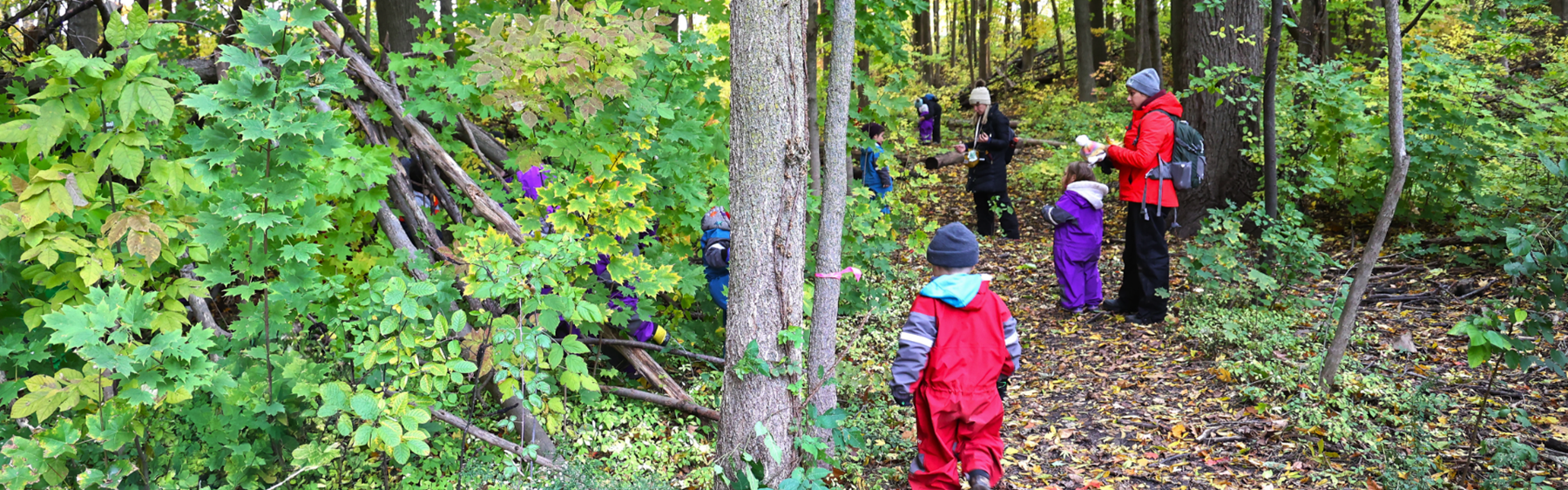 Group of Outdoor Preschoolers learning in the woods with their teacher