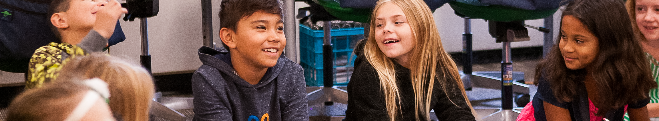 page banner image
